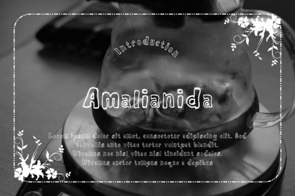 Amalianida: The Casual Display Font for Distinctive Branding
