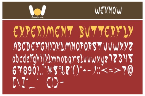 Experiment Butterfly Display Font for Campaign Visuals