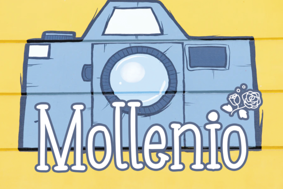 Mollenio Typeface: A Neat Display Font for Editorial Design