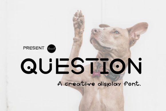 Question Typeface: A Playful Display Font for Memorable Branding